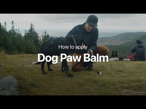 CalmBalm™ Natural Soothing Pet Balm - Rapid Relief for Paws, Nose & Hotspots (15g)