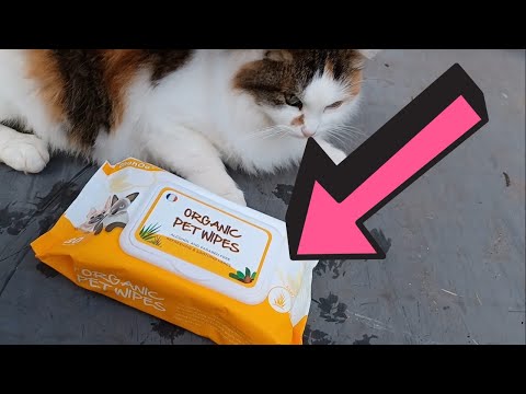 PureWipes™ EDI Pure Water Pet Wipes - Hypoallergenic & Fragrance-Free (80ct)